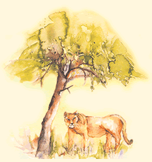 Lwin unter einem Baum